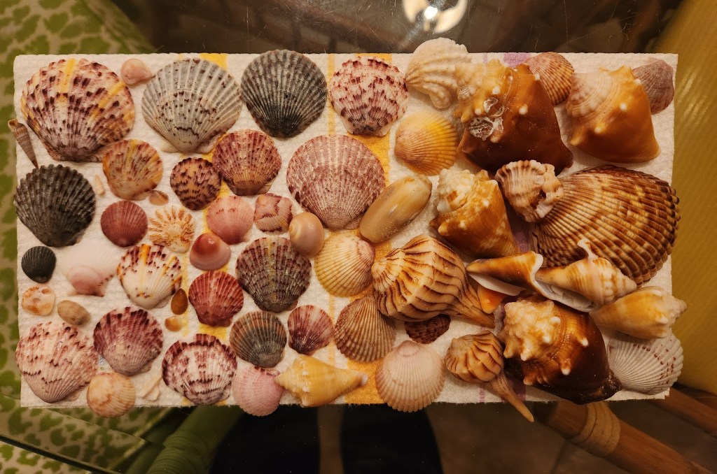 Searching for Treasure